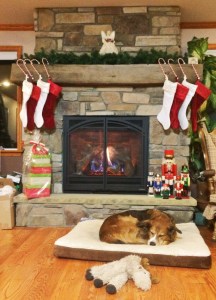 Not a mountain, but I'm not complaining.